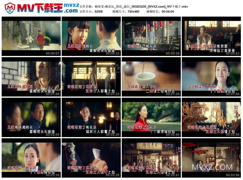 杨钰莹-桃花运_国语_流行_MD203235